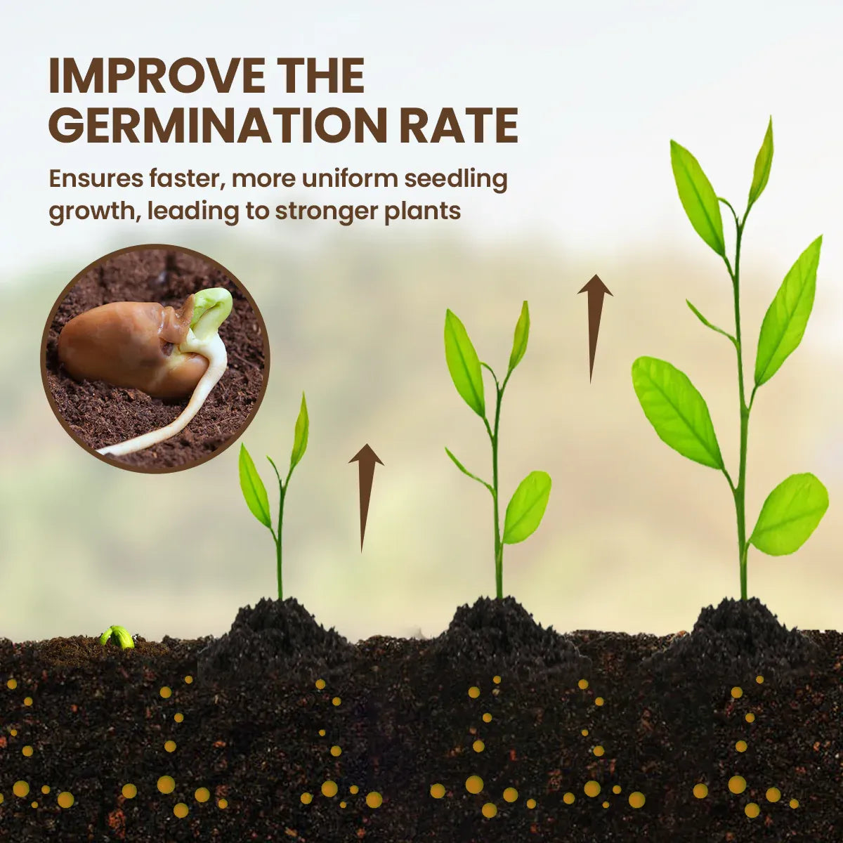 LBMLBM™🏆75K+ SOLD! 🌳Soil Pro Activator